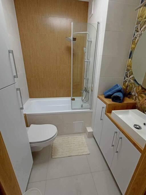 Apartament Podgorna 19 Apartment Torun Exterior photo